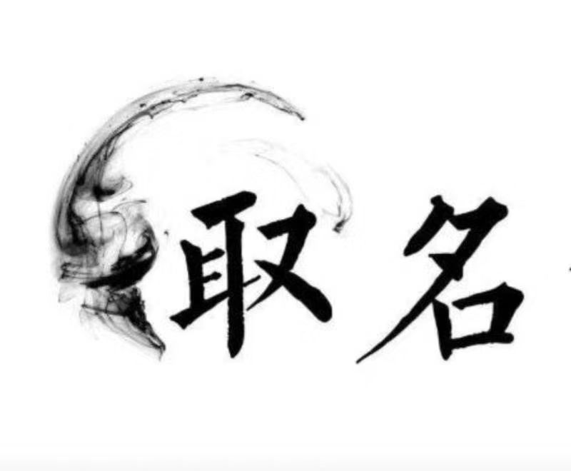 普定宝宝取名 大师一对一人工起名